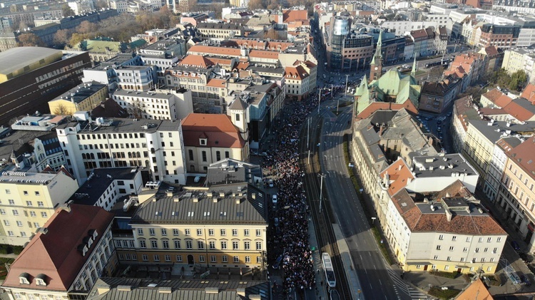 Radosna Parada Niepodległości cz.1