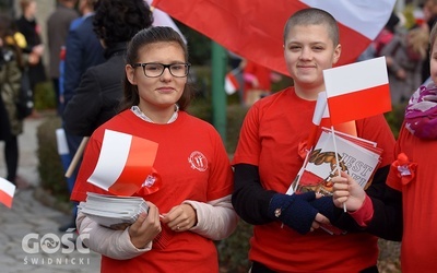 Obchody 100. rocznicy odzyskania niepodległości przez Polskę w Świdnicy