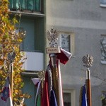 11 Listopada w Tarnobrzegu