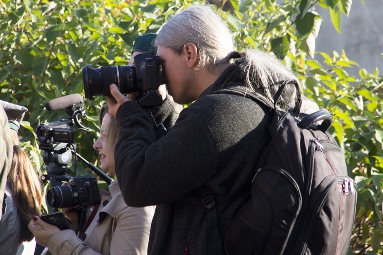 11 Listopada w Tarnobrzegu