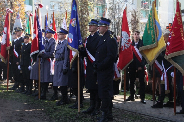 11 Listopada w Tarnobrzegu