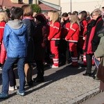 11 Listopada w Tarnobrzegu