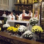 11 Listopada w Tarnobrzegu