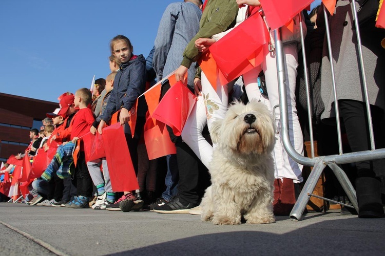 Radosna Parada Niepodległości cz. 3