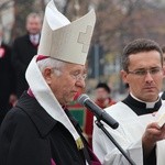 Uroczystości ku czci św. Wiktorii w Łowiczu - procesja