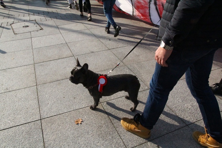 Radosna Parada Niepodległości cz. 4 (z. pl. Społecznego)