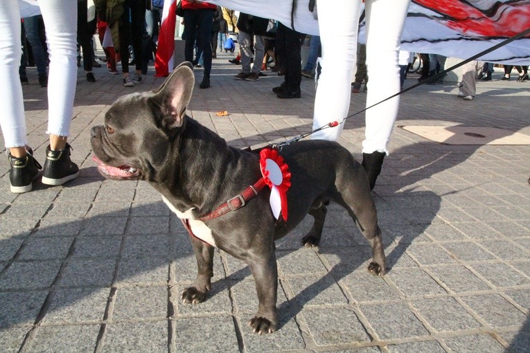 Radosna Parada Niepodległości cz. 4 (z. pl. Społecznego)