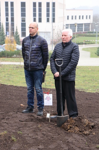 Uroczystość pobłogosławienia obelisku oraz zasadzenie dębu upamiętniających 100. rocznicę niepodległości Polski w Kortowie