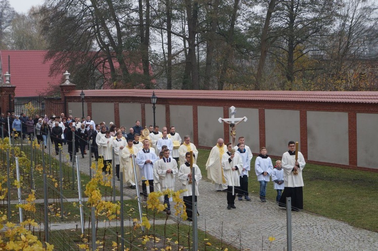 Odpust św. Marcina w Paradyżu