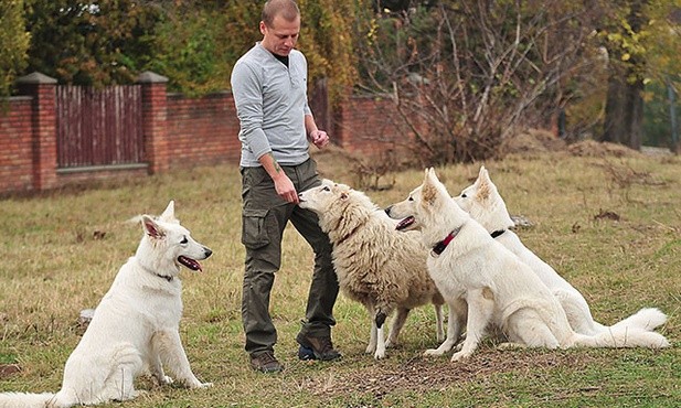 Jacek Sokołowski z Jadzią i białymi owczarkami szwajcarskimi.