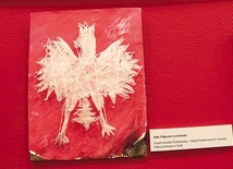 ▲	Jedna z prac wyróżnionych podczas senackiego konkursu dla młodzieży.