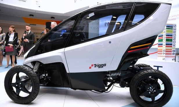 Polski Triggo