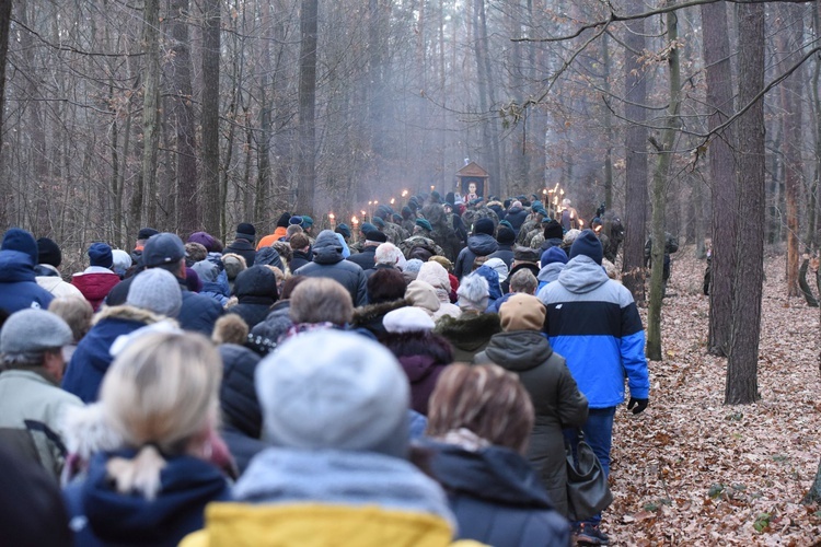 Droga Krzyżowa w Wał-Rudzie