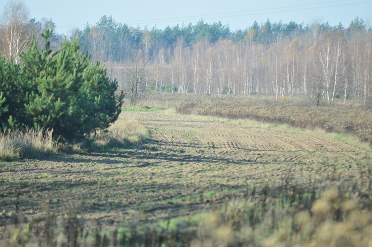 Parafia w Białce