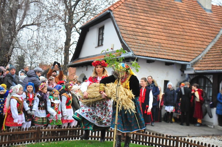 Osadzanie chochoła w Rydlówce 2018