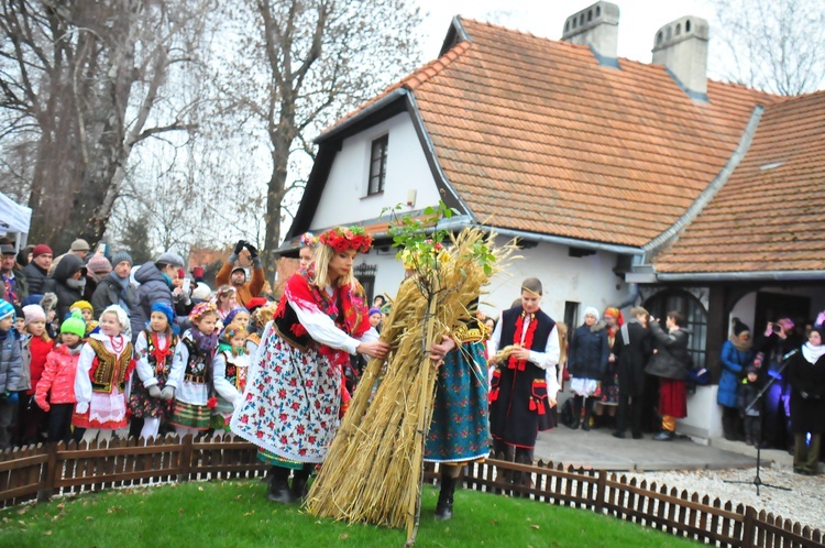 Osadzanie chochoła w Rydlówce 2018