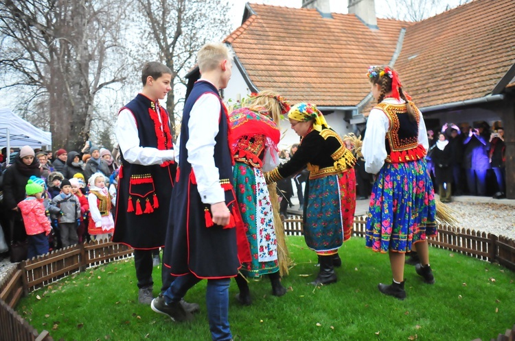 Osadzanie chochoła w Rydlówce 2018