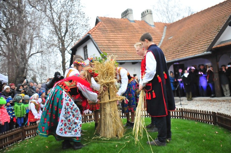 Osadzanie chochoła w Rydlówce 2018