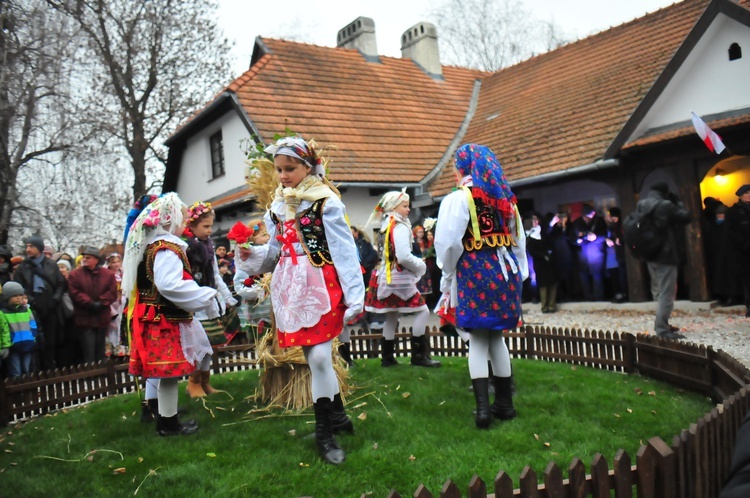 Osadzanie chochoła w Rydlówce 2018