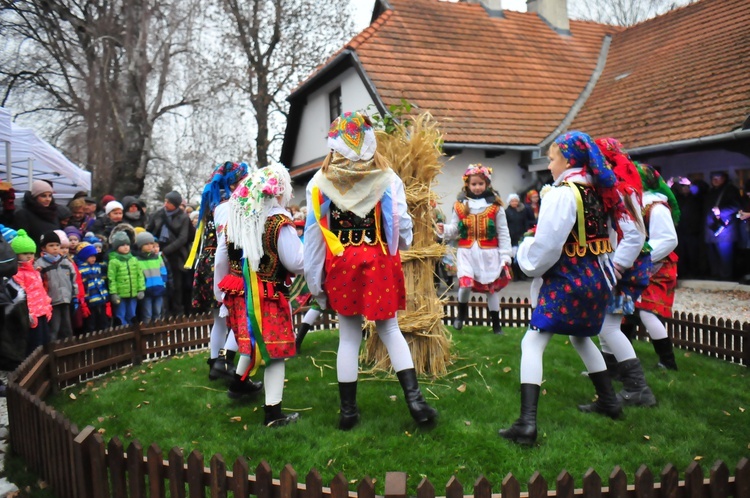 Osadzanie chochoła w Rydlówce 2018