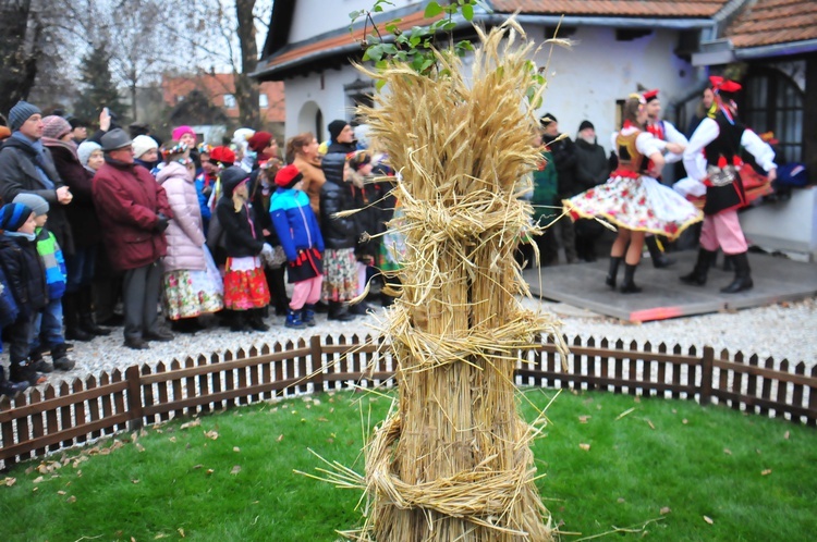 Osadzanie chochoła w Rydlówce 2018