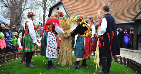 Osadzanie chochoła w Rydlówce 2018