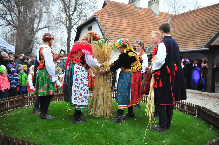 Osadzanie chochoła w Rydlówce 2018