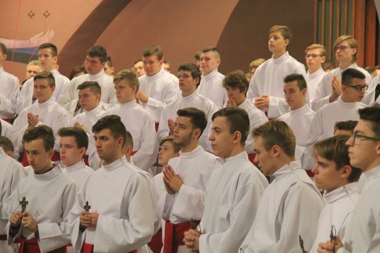 Ustanowienie animatorów ministranckich