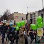 Barwny korowód proekologiczny w Katowicach 