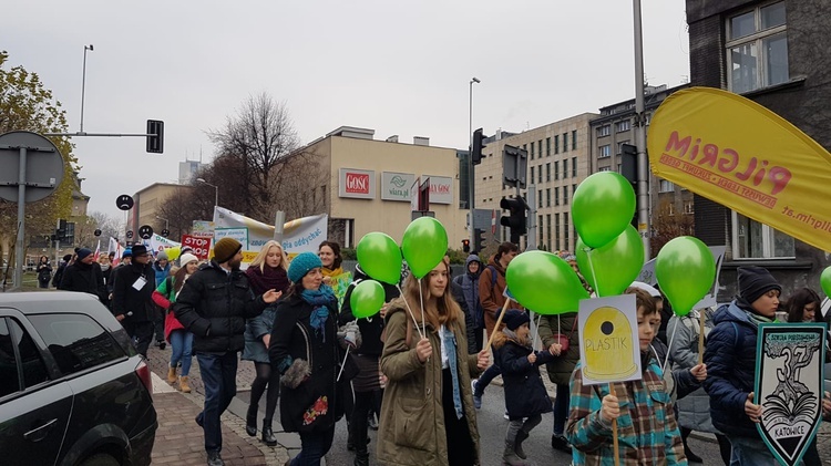 Barwny korowód proekologiczny w Katowicach 