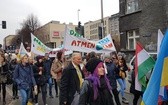 Barwny korowód proekologiczny w Katowicach 