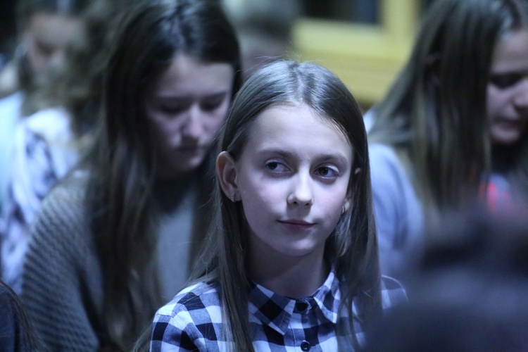 Kurs Przewodniczek DSM