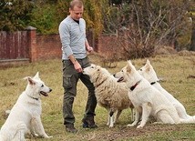 Specjaliści od obserwacji zachowań