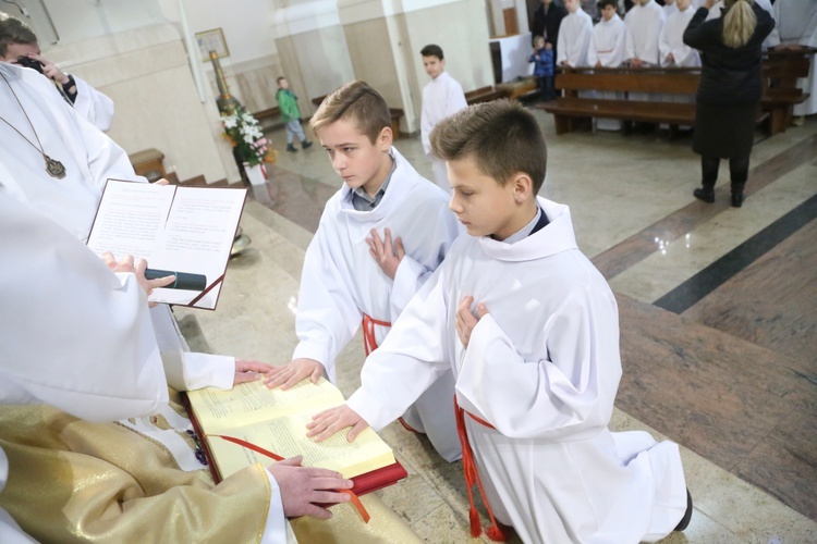 Lektorzy w Dąbrowskie Tarnowskiej