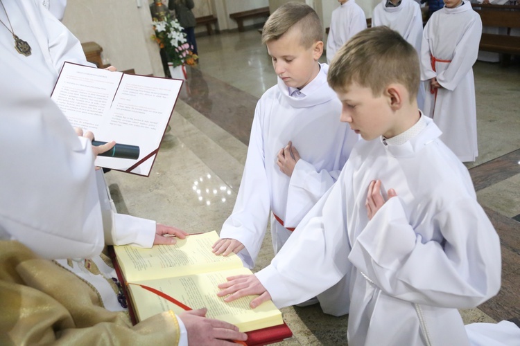 Lektorzy w Dąbrowskie Tarnowskiej