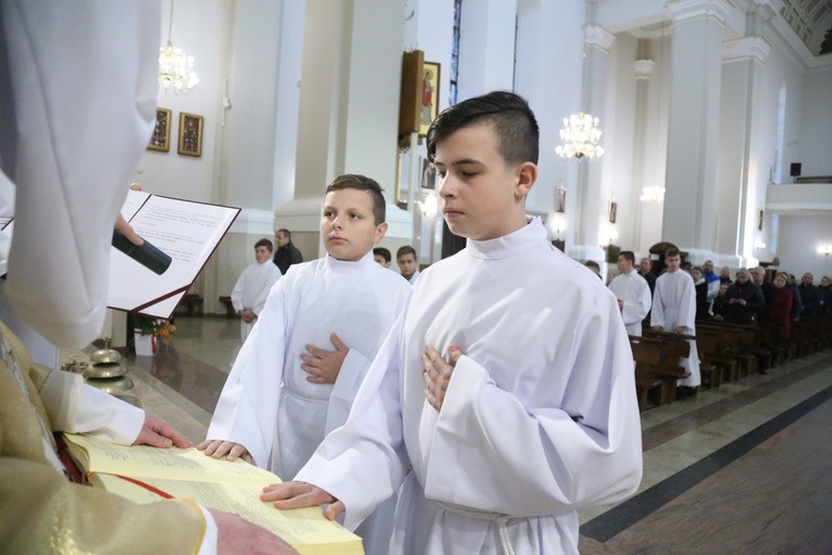 Lektorzy w Dąbrowskie Tarnowskiej
