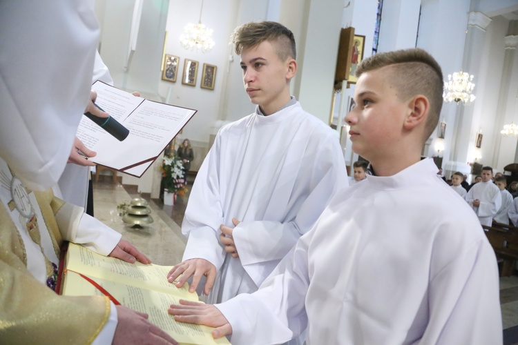 Lektorzy w Dąbrowskie Tarnowskiej