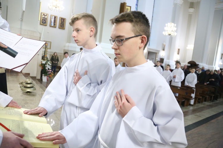 Lektorzy w Dąbrowskie Tarnowskiej