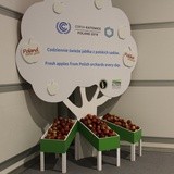 COP24 - dzień pierwszy