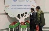 Arnold Schwarzenegger na COP24