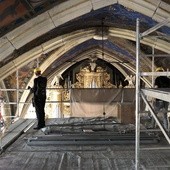 Tarcze herbowe w katedrze 