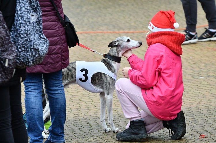 II Bieg Mikołajowy w Rabce