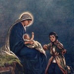 Kolekcja kartek świątecznych 