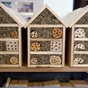 Hoteliki dla pszczół murarek