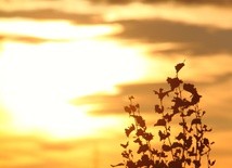 Nieskończona i wieczna skuteczność