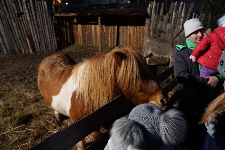 Żywe Betlejem znowu zagościło w Głuszycy 