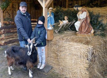 Jednym z budowniczych szopki i opiekunem żywego inwentarza jest Mariusz Ptaszek (na zdjęciu z synem Pawłem), wielki rycerz kozienickich Rycerzy Kolumba 