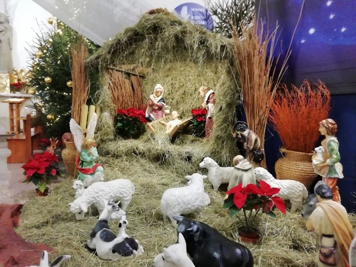 Szopki w kościołach diecezji