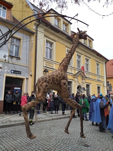 Orszak Trzech Króli 2019 - Wołów