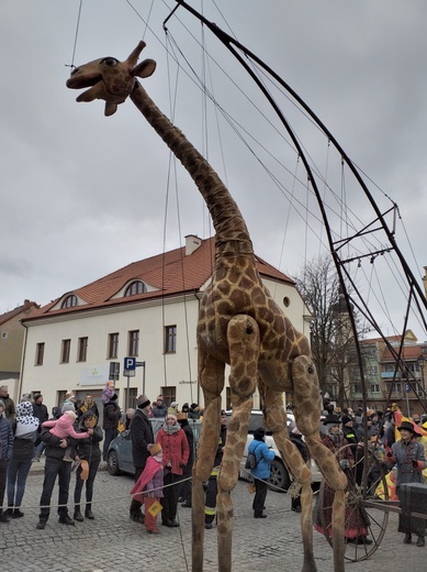 Orszak Trzech Króli 2019 - Wołów